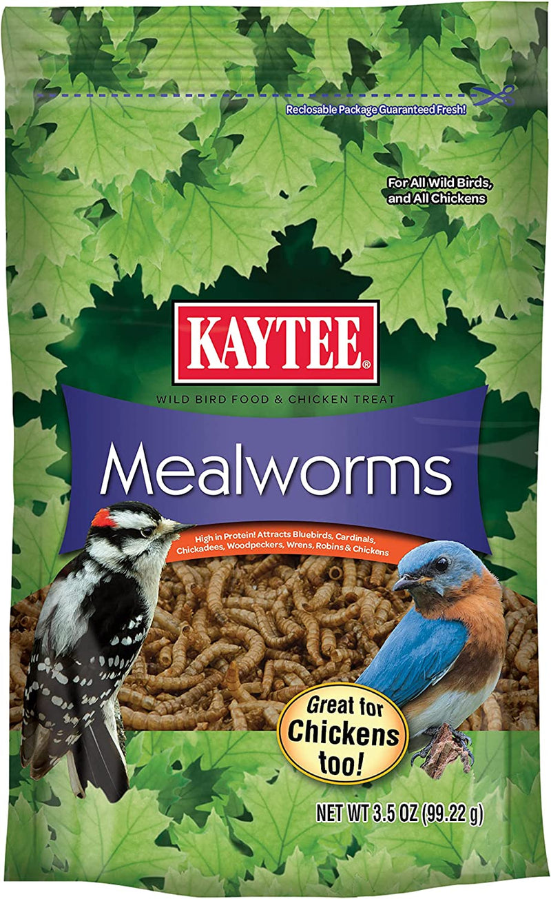 Kaytee Wild Bird Food Mealworms for Bluebirds, Wrens, Robins, Chickadees, Woodpeckers, Cardinals & Chickens, 17.6 Ounce Animals & Pet Supplies > Pet Supplies > Bird Supplies > Bird Food Kaytee Bird Food Mealworms 3.5 Ounce (Pack of 1) 