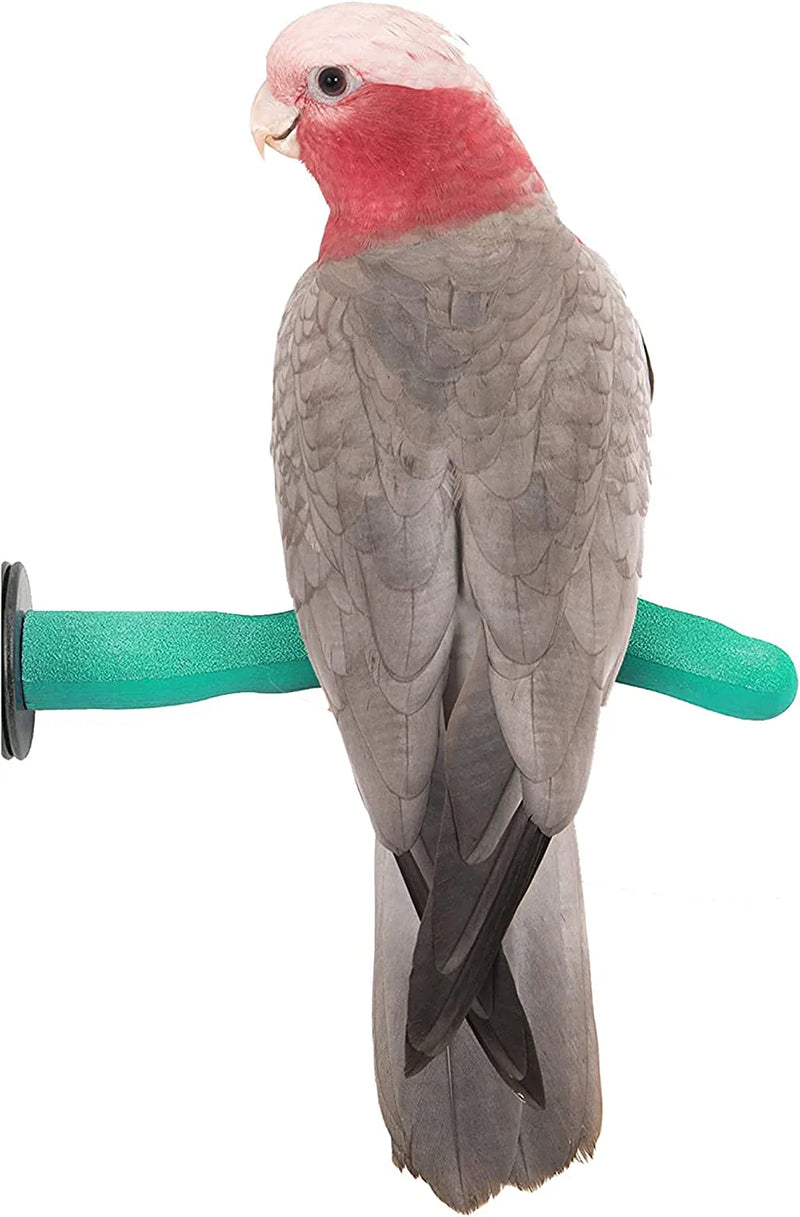 Sweet Feet and Beak Safety Pumice Perch Bird Toy - Trims Nails and Beak - Promotes Healthy Feet - Safe Non-Toxic Bird Supplies for Bird Cages - Medium 10" Animals & Pet Supplies > Pet Supplies > Bird Supplies > Bird Toys Sweet Feet and Beak Green Medium 12" 