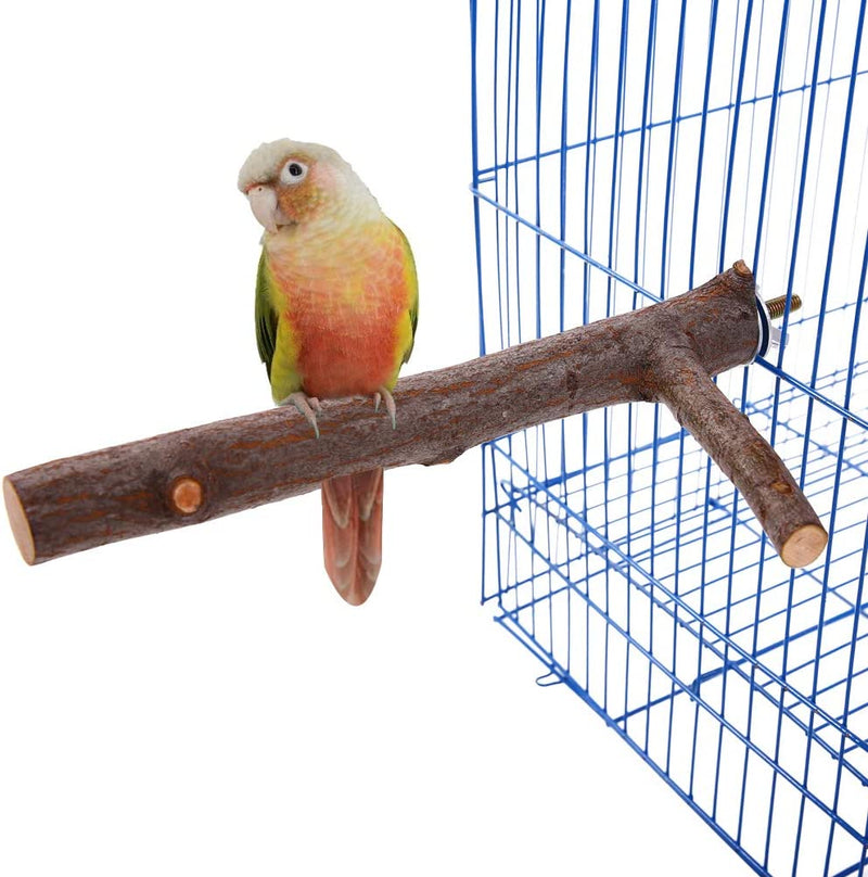 QBLEEV Bird Perch Parrot Play Stands Natural Wood Tree Branch for Small Parrots Birds (Bird Cage Not Include)-7.87 Inches Length-Diameter 0.78Inch Animals & Pet Supplies > Pet Supplies > Bird Supplies QBLEEV   