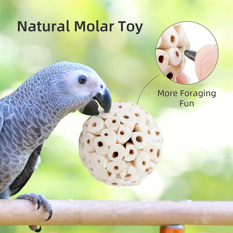 Andwe Bird Toy Sola Ball - Natural Soft Chew Shredding & Foraging Toy for Cockatiel Conure Quaker Parrot Budgie Parakeet Rabbit Bunny Guinea Pig Chinchilla (Style 1 (Pack of 6)) Animals & Pet Supplies > Pet Supplies > Bird Supplies > Bird Toys andwe   