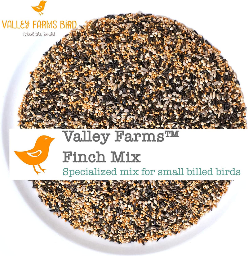 Wild Finch Mix Wild Bird Food -Super Clean Seed for Outdoor Finch Feeder - 15 LBS Animals & Pet Supplies > Pet Supplies > Bird Supplies > Bird Food Truffa Seed Co., Inc.   
