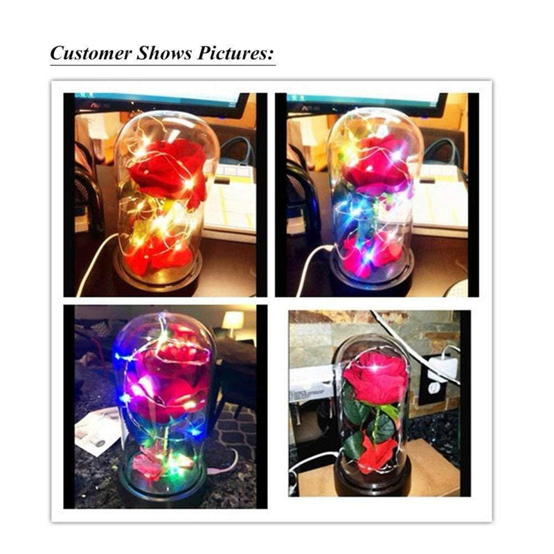 Beauty and the Beast Rose, Enchanted Red Silk Rose Lamp with 2 Mode Led Fairy String Lights, Best Gifts for Her for Valentines Day, Mothers Day, Anniversary, Wedding, Birthday Gifts Home & Garden > Decor > Seasonal & Holiday Decorations GUCHO   