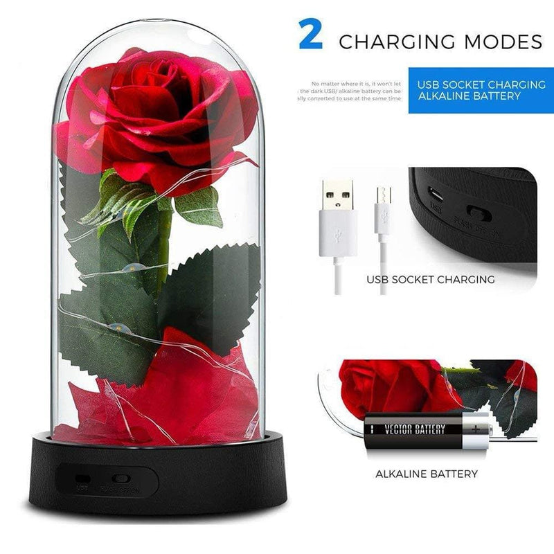 Beauty and the Beast Rose, Enchanted Red Silk Rose Lamp with 2 Mode Led Fairy String Lights, Best Gifts for Her for Valentines Day, Mothers Day, Anniversary, Wedding, Birthday Gifts Home & Garden > Decor > Seasonal & Holiday Decorations GUCHO   