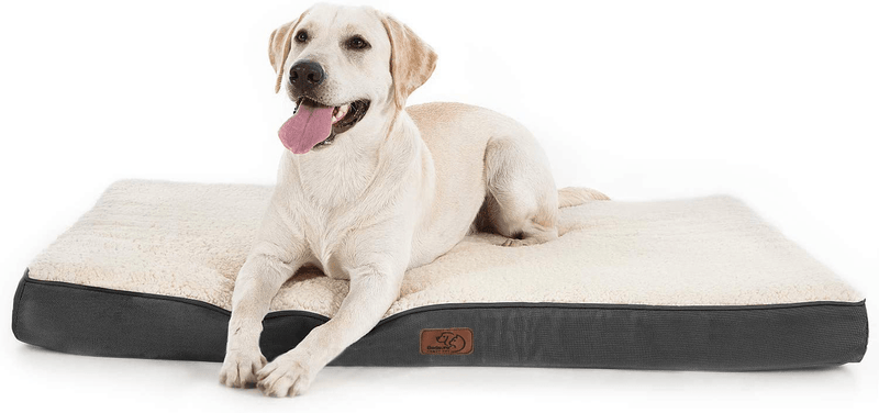 Bedsure Large Orthopedic Foam Dog Bed for Small, Medium, Large and Extra Large Dogs/Cats up to 50/75/100Lbs - Orthopedic Egg-Crate Foam with Removable Washable Cover - Water-Resistant Pet Mat Animals & Pet Supplies > Pet Supplies > Dog Supplies > Dog Beds Bedsure Comfy Pet Grey X-Large (Pack of 1) 