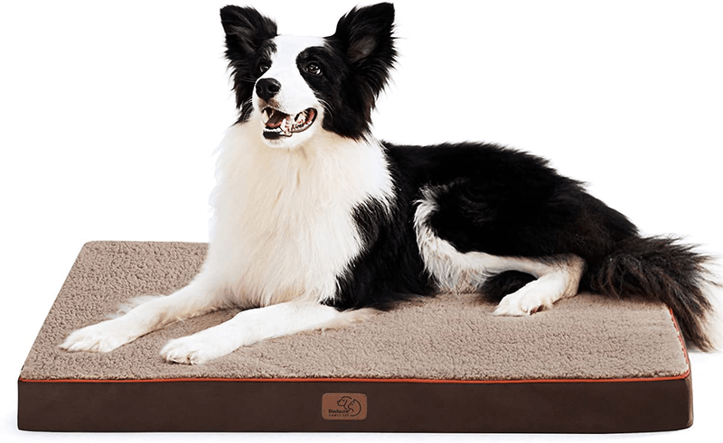 Bedsure Large Orthopedic Foam Dog Bed for Small, Medium, Large and Extra Large Dogs/Cats up to 50/75/100Lbs - Orthopedic Egg-Crate Foam with Removable Washable Cover - Water-Resistant Pet Mat Animals & Pet Supplies > Pet Supplies > Dog Supplies > Dog Beds Bedsure Comfy Pet Brown Large (Pack of 1) 
