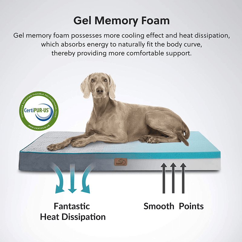 Bedsure Orthopedic Memory Foam Dog Bed for Large Dogs up to 75/100Lbs, (3.5-4 Inches Thick) Pet Bed Mattress with Removable Washable Cover, 2-Layer Pet Mat with Waterproof Lining Dog Beds, Grey Animals & Pet Supplies > Pet Supplies > Dog Supplies > Dog Beds Bedsure   
