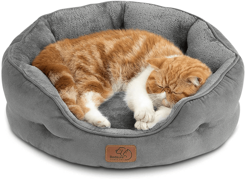 Bedsure Small Dog Bed for Small Dogs Washable - round Cat Beds for Indoor Cats, round Pet Bed for Puppy and Kitten with Slip-Resistant Bottom, 20 Inches