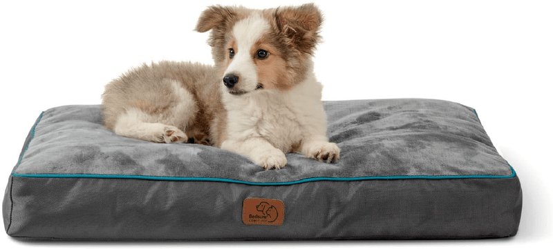 Bedsure Waterproof Dog Beds for Large Dogs - Large Dog Bed with Washable Cover, Pet Bed Mat Pillows for Medium, Extra Large Dogs Animals & Pet Supplies > Pet Supplies > Dog Supplies > Dog Beds Bedsure Grey Medium 