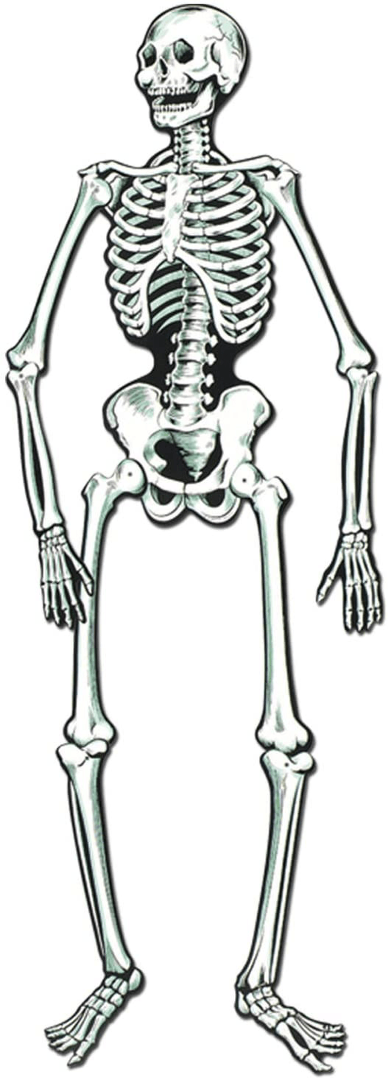 Beistle Jointed Skeletons, 22", White/Black Arts & Entertainment > Party & Celebration > Party Supplies The Beistle Company 2 piece  