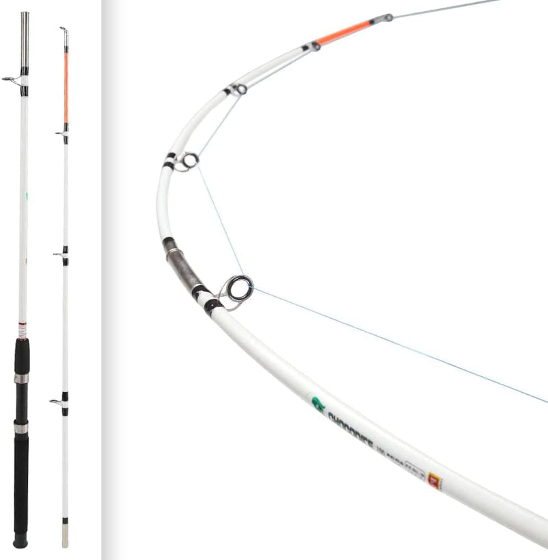 Berkley Big Game Spinning Fishing Rod Sporting Goods > Outdoor Recreation > Fishing > Fishing Rods Pure Fishing   