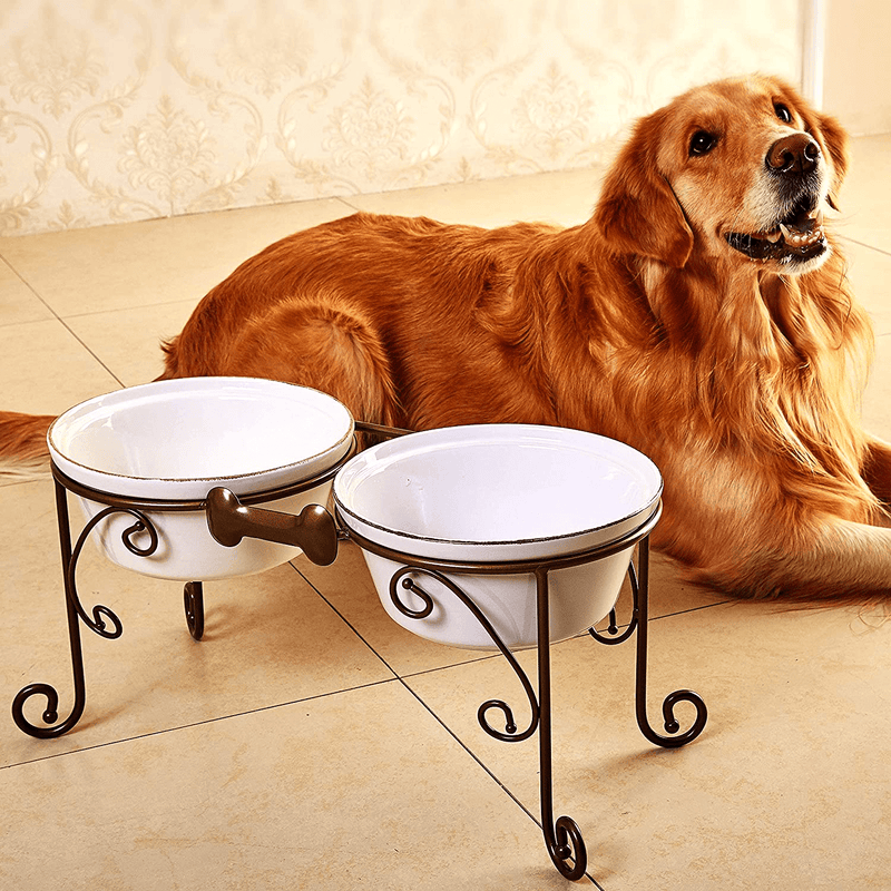 BestVida Sparks Elevated Dog Bowls, Dog Bowl Stand for Large Dogs, Raised Dog Bowl with Double Premium Stoneware Bowls (Large, White)