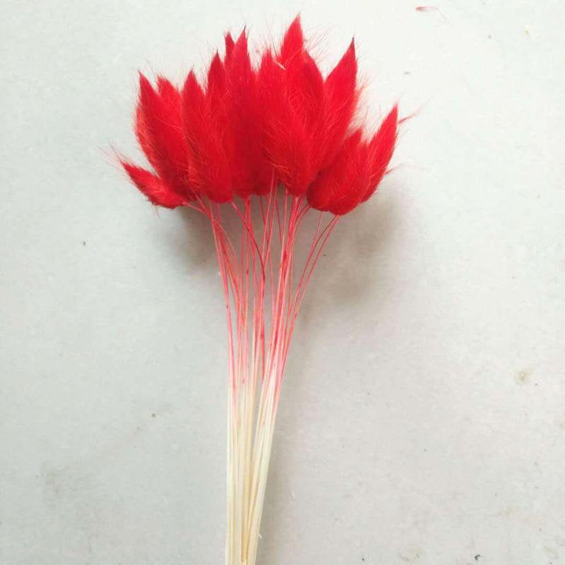JANDEL 30PCS Natural Rabbit Tail Grass Dried Flower, for Valentine'S Day, Wedding, Household Decorations Festive Party Supplies, Purple Home & Garden > Decor > Seasonal & Holiday Decorations JANDEL 30pcs Red 
