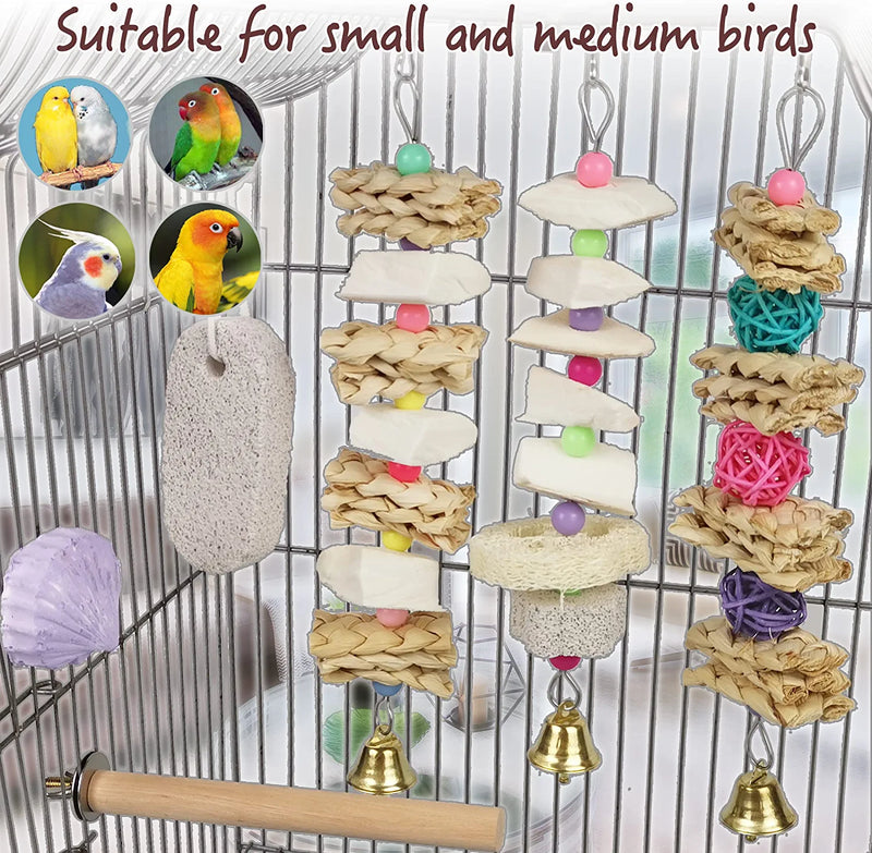 Parrot Chewing Toys (6 Pcs) Natural Cuttlebone Bird Beak Trimmer Grinding Stone Lava Block Calcium Stone Bird Perch Cage Toys for Small and Medium Parakeets, Cockatiels, Conures, Budgies, Lovebirds Animals & Pet Supplies > Pet Supplies > Bird Supplies > Bird Toys Qimilenzy   