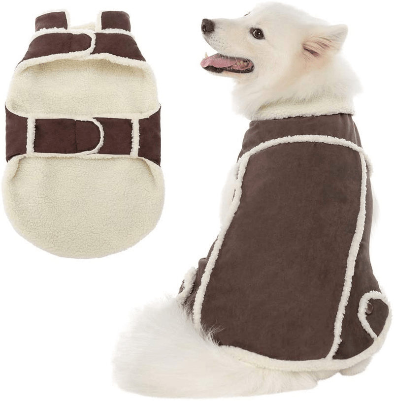 BINGPET Dog Winter Coat - Cold Weather Dog Clothes, Windproof Fall Outfit for Dogs with Fleece Lined, Soft and Warm Pet Apparel Jacket for Small Medium Large Dogs…