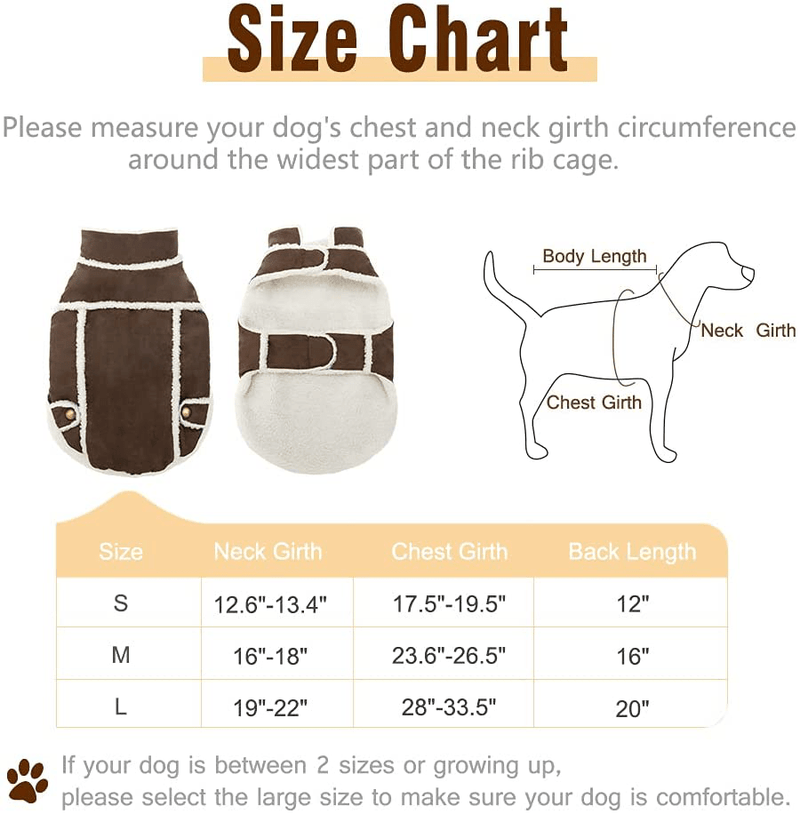BINGPET Dog Winter Coat - Cold Weather Dog Clothes, Windproof Fall Outfit for Dogs with Fleece Lined, Soft and Warm Pet Apparel Jacket for Small Medium Large Dogs…