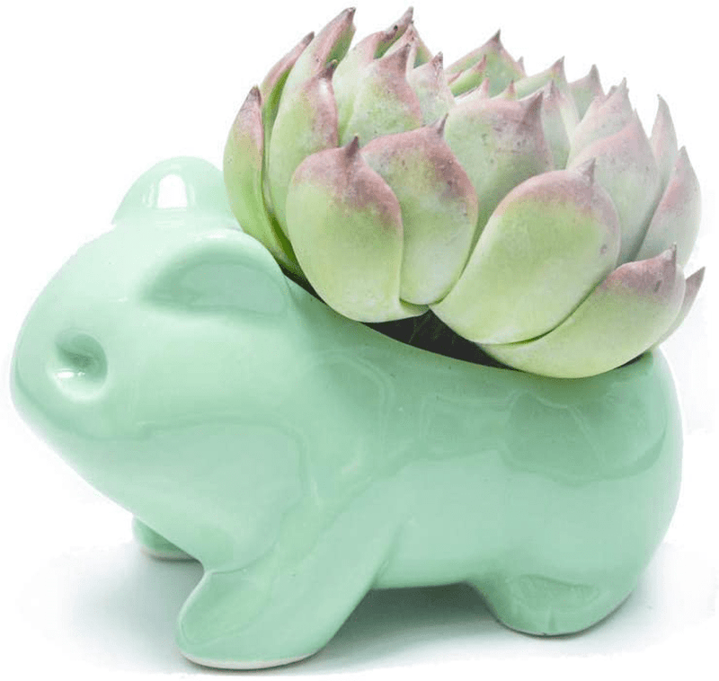 Binoster DIY Flowerpot Cute Ceramic Art Pots Home Decorative Ceramic Art Vase Green Home & Garden > Decor > Vases Binoster   