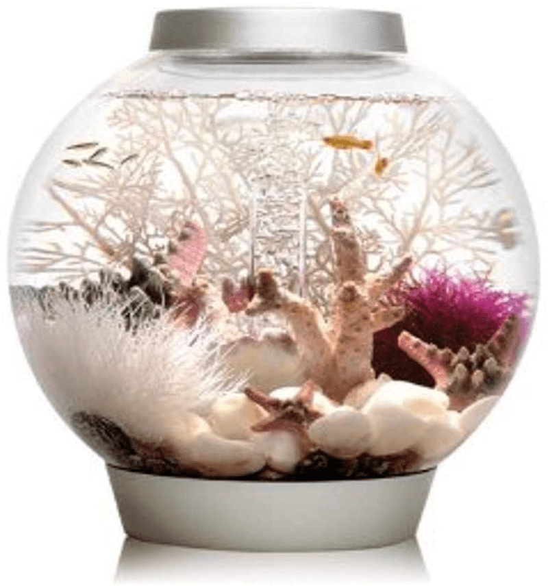 biOrb Classic Aquarium Animals & Pet Supplies > Pet Supplies > Fish Supplies > Aquariums biOrb Silver LED Lighting 4 Gallon