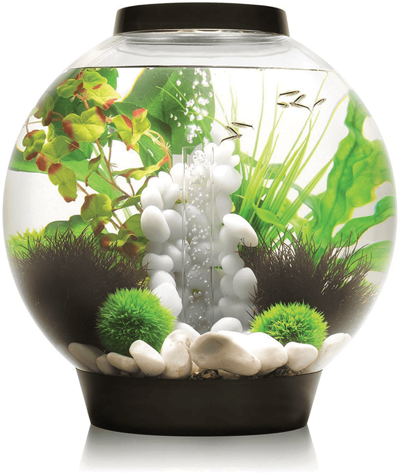 biOrb Classic Aquarium Animals & Pet Supplies > Pet Supplies > Fish Supplies > Aquariums biOrb Black LED Lighting 8 Gallon