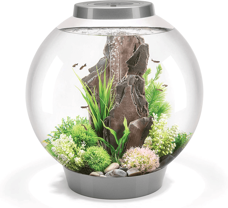 biOrb Classic Aquarium Animals & Pet Supplies > Pet Supplies > Fish Supplies > Aquariums biOrb Silver LED Lighting 16 Gallon