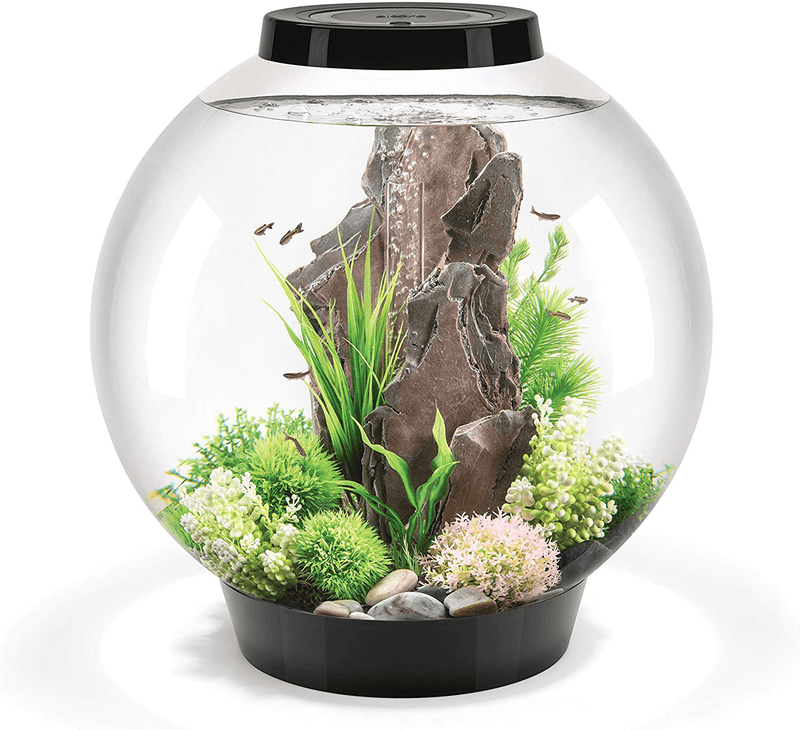 biOrb Classic Aquarium Animals & Pet Supplies > Pet Supplies > Fish Supplies > Aquariums biOrb Black LED Lighting 16 gallon/60 liter