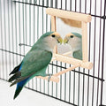 Bird Mirror Wooden Hanging Swing Interactive Play Toys for Small Parrot Budgies Macaw African Grey Parakeet Cockatiel Conure Lovebird Cage Accessories (Bird Mirror Perch Stand-One) Animals & Pet Supplies > Pet Supplies > Bird Supplies > Bird Cages & Stands Litewood Bird Mirror Perch Stand-1PC  