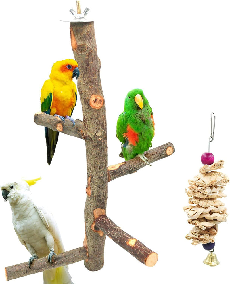 Bird Perch Nature Apple Hard Wood Stand, Parrot Stand Toy Branch Platform Paw Grinding Stick for Small Parakeets Cockatiels Conures Parrots Love Birds Finches Cage Accessories (Set 1)