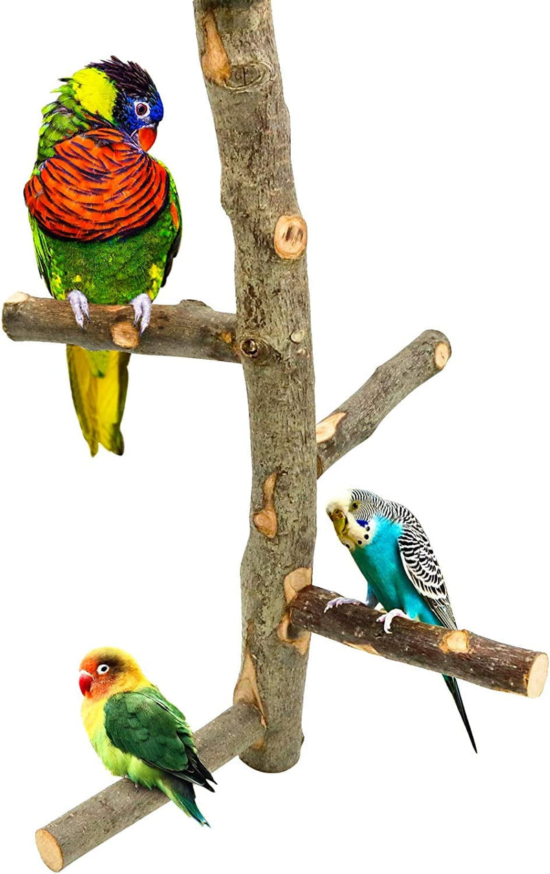Bird Perch Nature Apple Hard Wood Stand, Parrot Stand Toy Branch Platform Paw Grinding Stick for Small Parakeets Cockatiels Conures Parrots Love Birds Finches Cage Accessories (Set 1) Animals & Pet Supplies > Pet Supplies > Bird Supplies > Bird Cages & Stands suruikei   