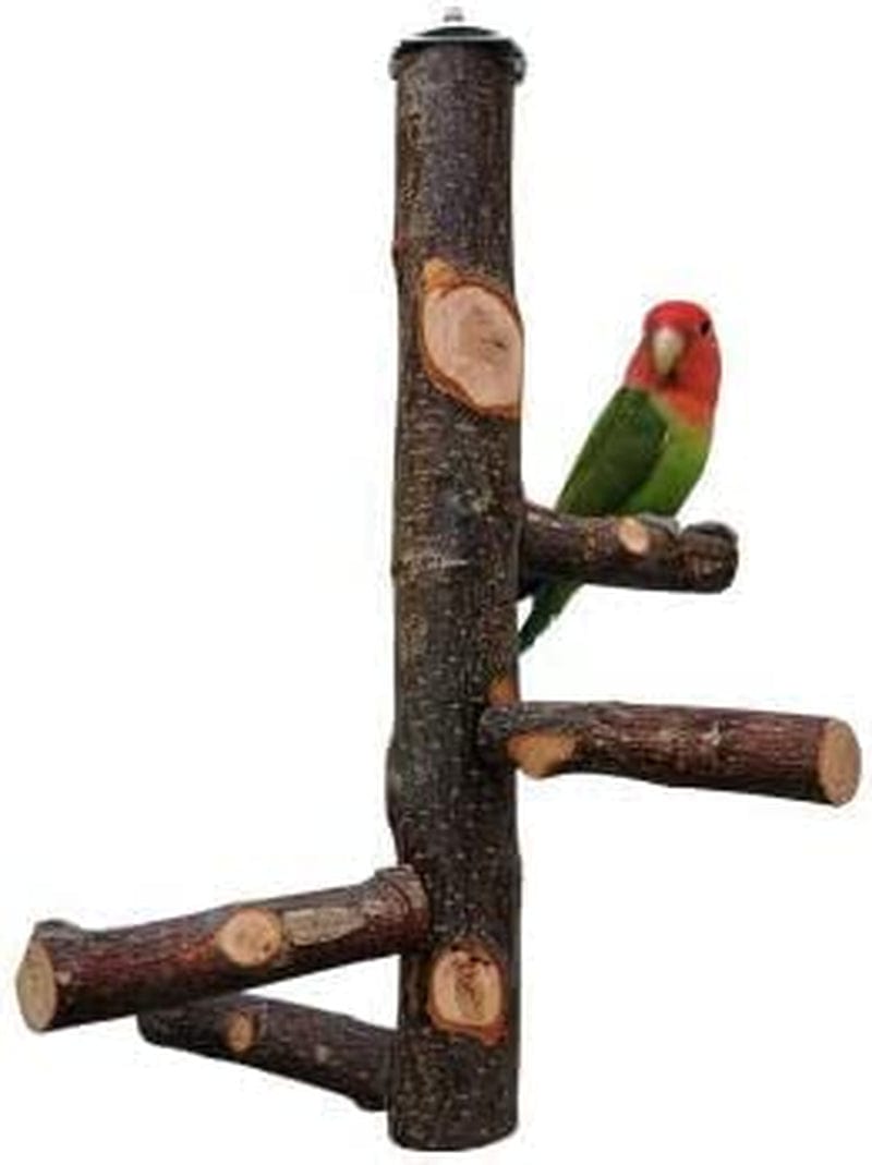 Bird Perch Stand Platform, Durable Paw Grinding Clean Board Practical Pets Cage Accessories Stands Exercise Bird Toys for Parrots,Natural Wood Parrot Perch Bird Cage Branch Perch Accessories Animals & Pet Supplies > Pet Supplies > Bird Supplies > Bird Cages & Stands Jagmsoph   