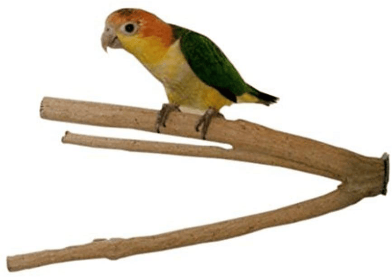 Birds LOVE Bottlebrush and PepperWood Bird Cage Perch - Small to Extra Large for Canaries, Parakeets, Conures, Quakers, Macaws Birds Animals & Pet Supplies > Pet Supplies > Bird Supplies Birds LOVE Bottlebrush Medium (Pack of 1) 