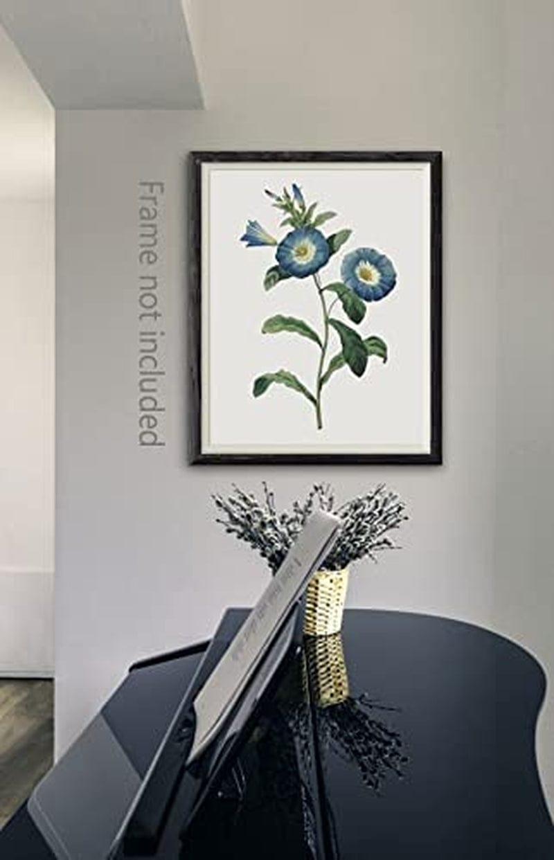 Blue Flower Canvas Wall Art Print, Vintage Floral Botanical Decor Antique Botany Poster, Blue Tone Morning Glory Water Lily Hyacinth Gentian Decorate for Office, Set of 4 ,8 X 10 in Unframed Home & Garden > Decor > Artwork > Posters, Prints, & Visual Artwork heshengzaixian   