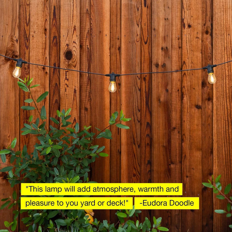 Brightech Ambience Pro - Waterproof LED Outdoor String Lights - 2W Vintage Edison Bulbs Create Bistro Ambience in Your Backyard - 48 Ft Commercial Grade Patio Lights Home & Garden > Lighting > Light Ropes & Strings Brightech   