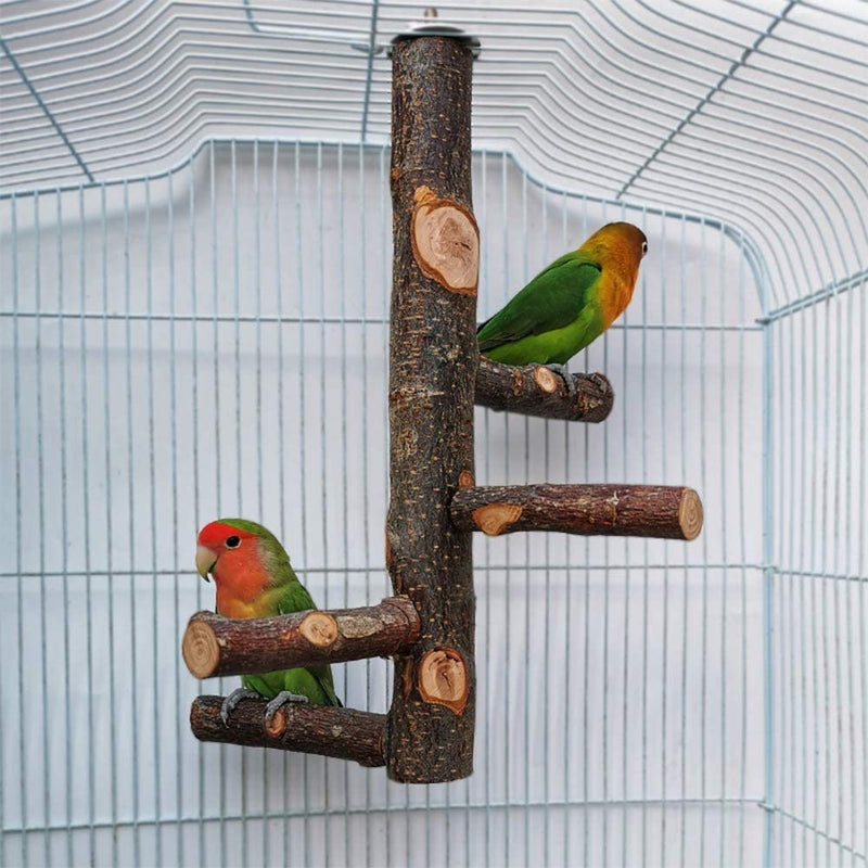 Dotlite Bird Perch Nature Wood Stand for Parrots, 12Inch Height with 4PCS Branches Suitable for Small Medium Birds and Parrots Animals & Pet Supplies > Pet Supplies > Bird Supplies Dotlite   