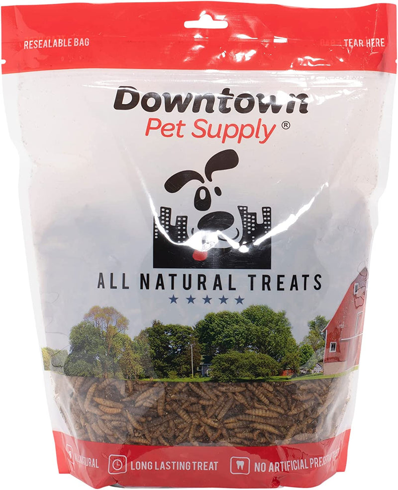 Downtown Pet Supply Dried Black Soldier Fly Larvae - Rich in Vitamin B12, B5, Protein, Fiber and Omega 3 Fatty Acids - Chicken, Duck and Bird Food - Reptile and Turtle Food - 0.5 Lbs Animals & Pet Supplies > Pet Supplies > Bird Supplies > Bird Food Downtown Pet Supply Black Soldier Fly Larvae 1 LB 
