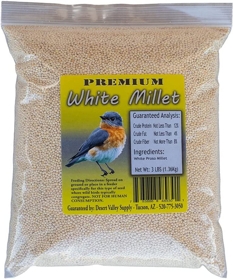 Desert Valley Premium White Millet Proso Seeds - Wild Bird Food- Cardinal, Finch & More (3-Pounds) Animals & Pet Supplies > Pet Supplies > Bird Supplies > Bird Food Desert Valley Supply   
