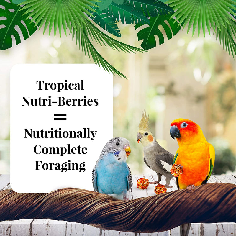 Lafeber Tropical Fruit Nutri-Berries Pet Bird Food, Made with Non-Gmo and Human-Grade Ingredients, for Cockatiels Conures Parakeets (Budgies) Lovebirds, 10 Oz