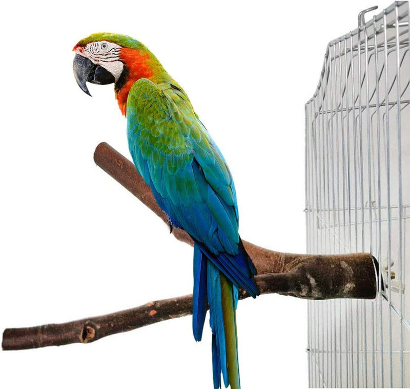 Kathson Natural Bird Wood Perch Parakeet Standing Toy Sticks Parrot Paw Grinding Branches Cockatiels Cage Chewable Accessories for Conures Macaws Finches 8 PCS Animals & Pet Supplies > Pet Supplies > Bird Supplies kathson   
