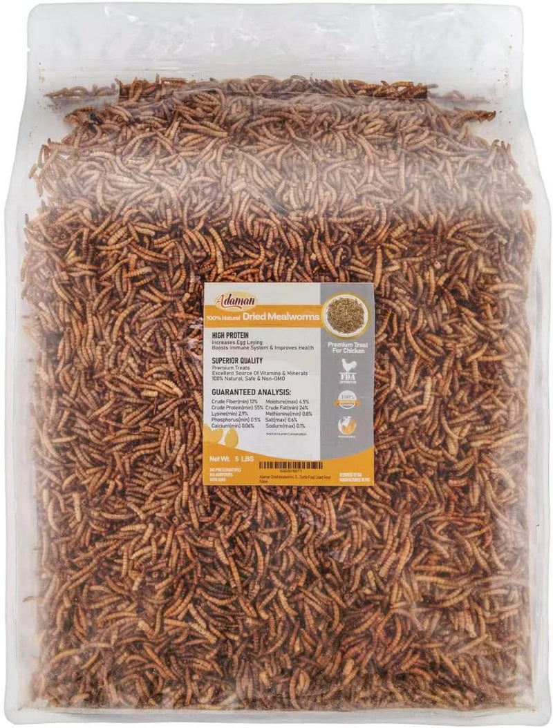 Adaman Dried Mealworms -5 LBS- 100% Natural Non GMO High Protein Mealworms - Bulk Mealworms for Wild Birds, Chicken Treats, Hamster Food, Gecko Food, Turtle Food, Lizard Food Animals & Pet Supplies > Pet Supplies > Bird Supplies > Bird Food Adaman   