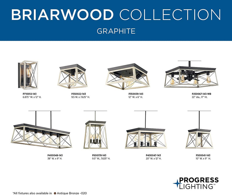 Briarwood Collection 4-Light Coastal Chandelier Light Graphite Home & Garden > Lighting > Lighting Fixtures > Chandeliers Progress Lighting   