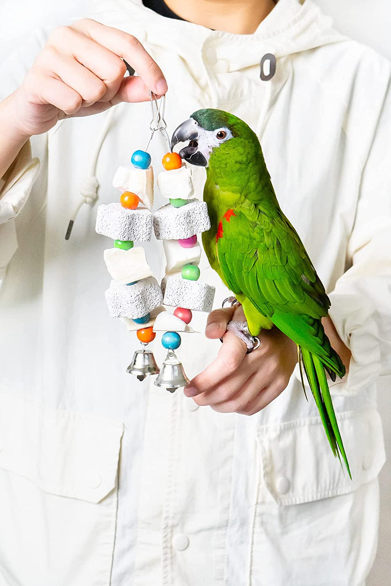 Parrot Chewing Toy Bird Beak Grinding Lava Stone Cuttlebone Block Set of 2 Bell Calcium Supplement Food African Greys Conure Eclectus Budgies Parakeet Cockatiel Hamster Chinchilla Rabbit 2 Pack Animals & Pet Supplies > Pet Supplies > Bird Supplies > Bird Toys DR. PARROT GREAT TIME FOR FULL FUN   