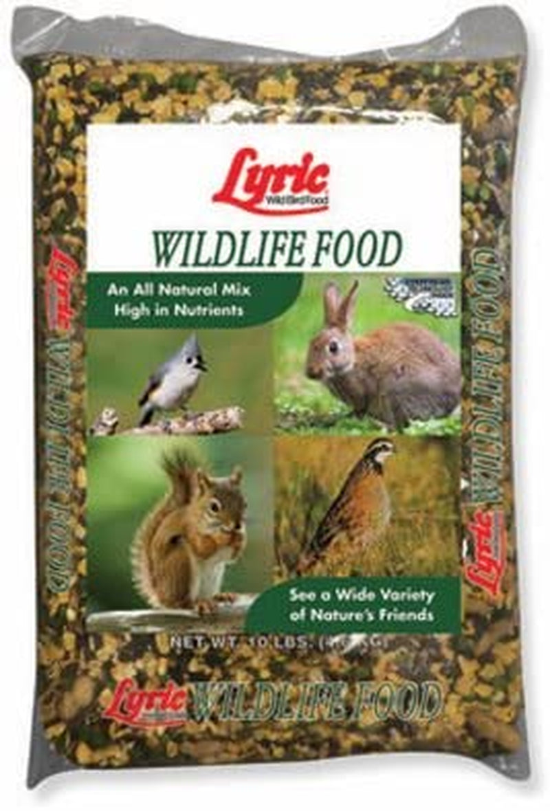 Lyric Wildlife Critter Food for Deer, Turkeys, Wild Bird Seed, 10 Lb. Bag Animals & Pet Supplies > Pet Supplies > Bird Supplies > Bird Food LEBANON SEABOARD CORP.   