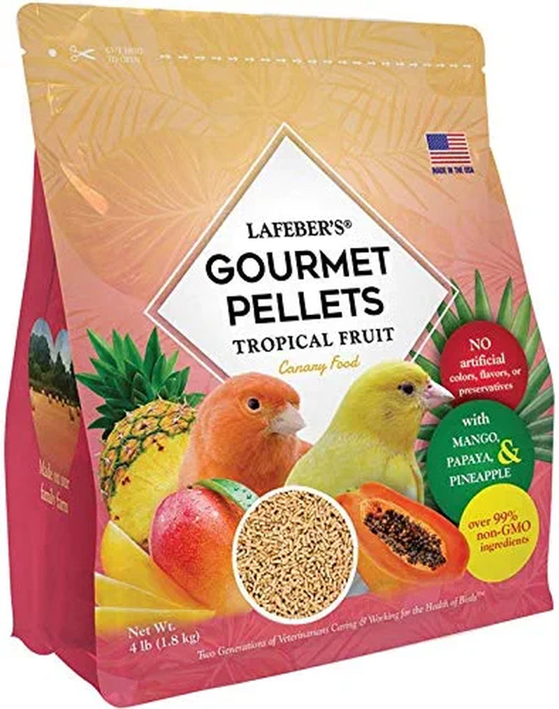 LAFEBER'S Premium Daily Diet Pellets Pet Bird Food, Made with Non-Gmo and Human-Grade Ingredients, for Canaries, 1.25 Lb Animals & Pet Supplies > Pet Supplies > Bird Supplies > Bird Food Lafeber Company Tropical Fruit 4 Pound (Pack of 1) 