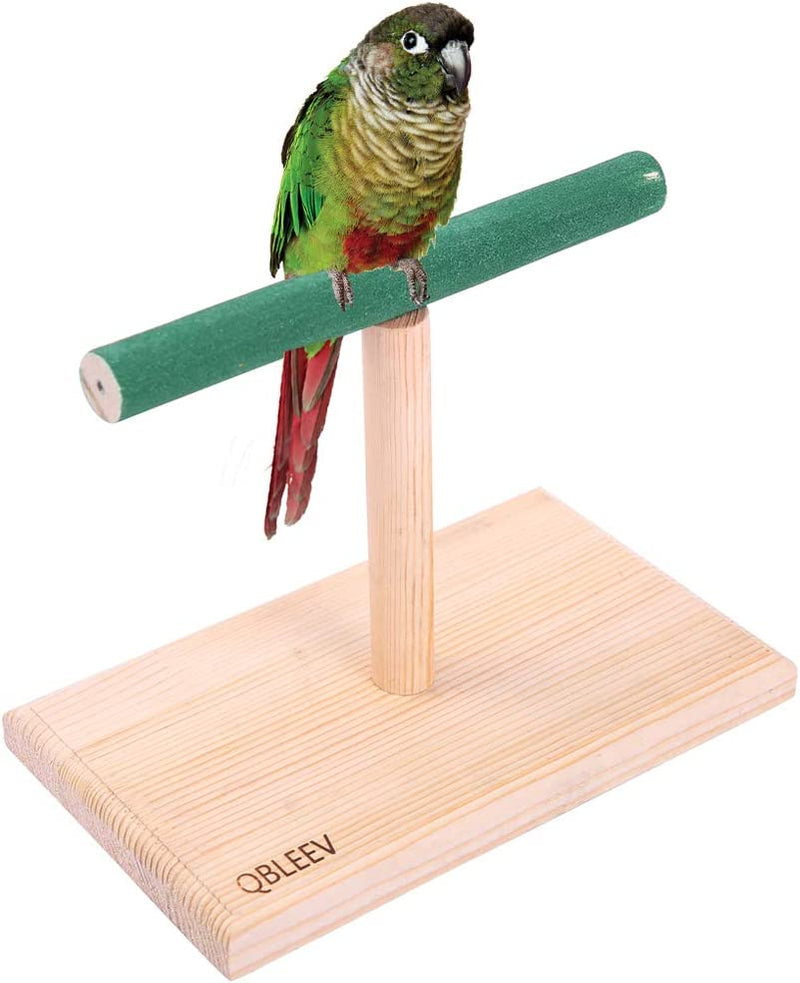 QBLEEV Small Bird Perch,Bird Play Stand,Portable Training Parrot Playstand, Bird Cage Toys for Cockatiels Conures Parakeet Finch Lovebirds Animals & Pet Supplies > Pet Supplies > Bird Supplies QBLEEV   