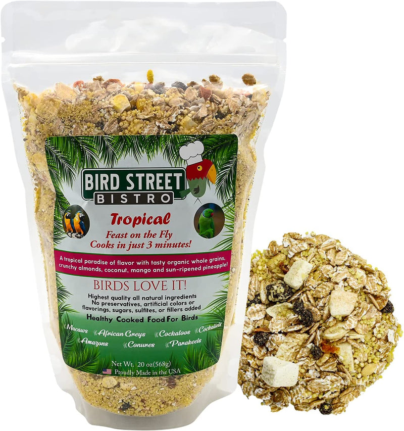 Bird Street Bistro Parrot Food - Parakeet Food - Cockatiel Food - Bird Food - Cooks in 3-15 Min W/ Natural & Organic Grains - Legumes - Non-Gmo Fruits, Vegetables, & Healthy Spices Animals & Pet Supplies > Pet Supplies > Bird Supplies > Bird Food Bird Street Bistro Tropical 1.25 Pound (Pack of 1) 