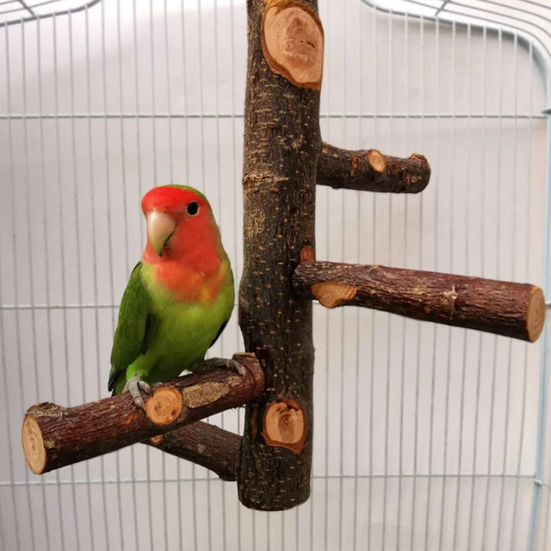Ipetboom Wooden Bird Perch Natural Wood Parrot Stand Paw Grinding Stick Standing Climbing Branches Chewing Toys for Budgies Conures Caciques Cockatiels Parakeets Cockatoo Animals & Pet Supplies > Pet Supplies > Bird Supplies Ipetboom   