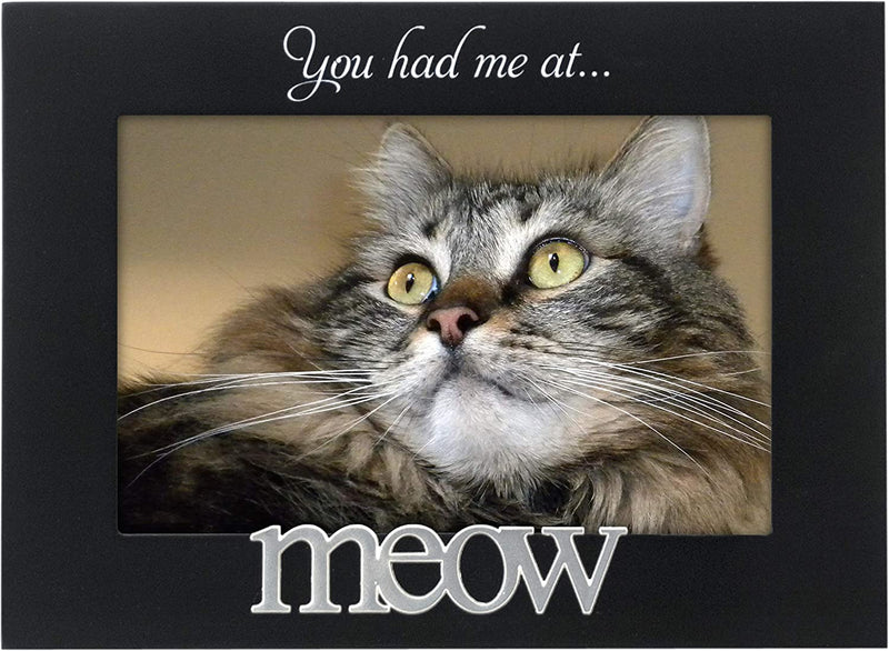Malden International Designs Black Wood Expression Picture Frame, Woof, 4X6, Black Home & Garden > Decor > Picture Frames Malden International Designs You Had Me at Meow  
