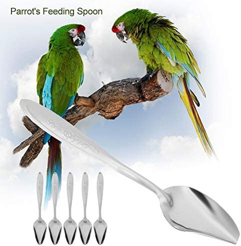 HEEPDD 5Pcs Parrot Feeding Spoon, Stainless Steel Special Feeding Scoop Metal Bird Milk Spoons Hand Feeding Spoon for Birds Peony Cockatiel Rabbit Hamster