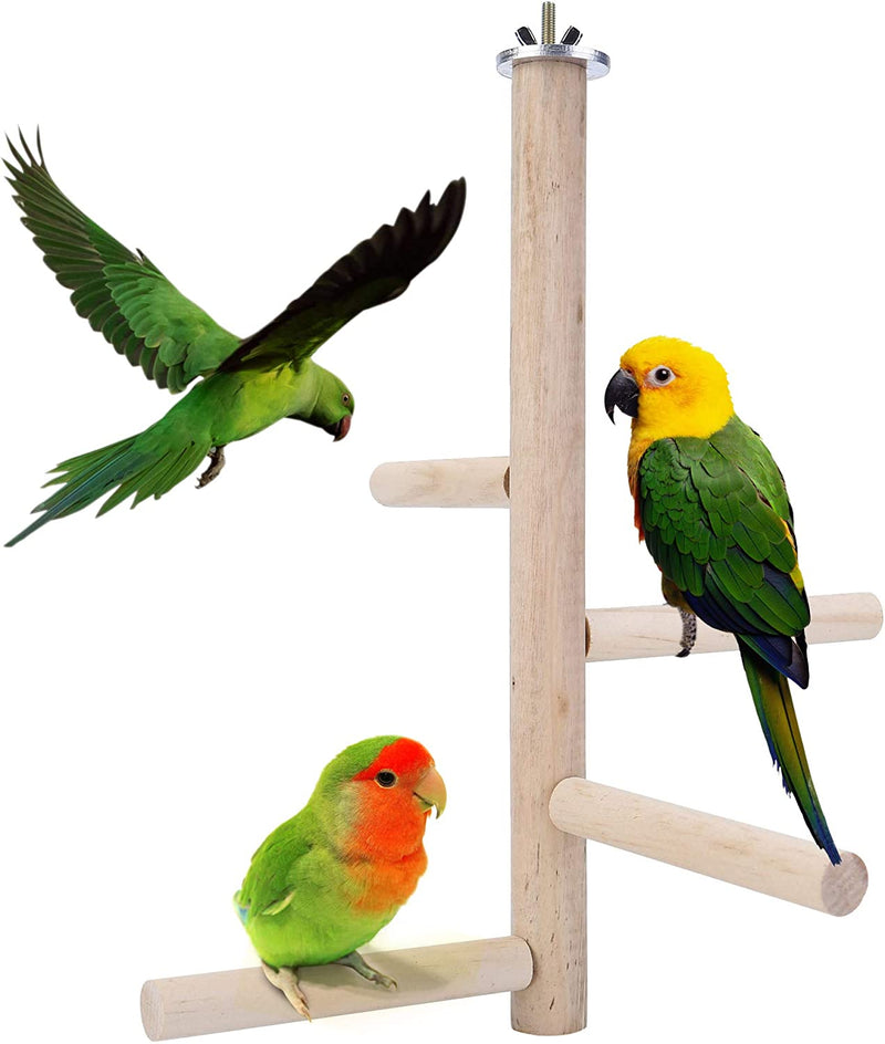 Filhome Bird Perch Stand Toy, Natural Wood Parrot Perch Bird Cage Branch Perch Accessories for Parakeets Cockatiels Conures Macaws Finches Love Birds(9.8" Length) Animals & Pet Supplies > Pet Supplies > Bird Supplies Timwaygo Peeled 9.8"Length  