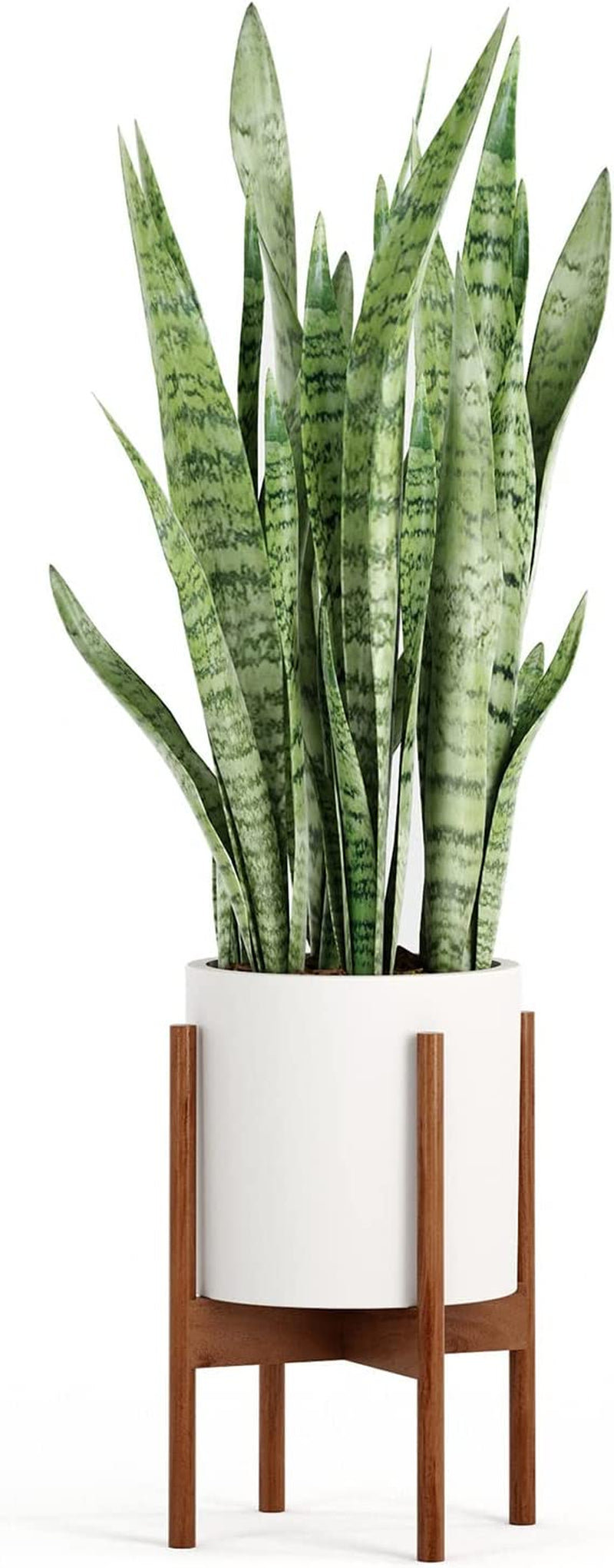 Fox & Fern Mid Century Modern Plant Stand, Plant Stand Indoor, Indoor Plant Stand, Plant Stands for Indoor Plants, Plant Holder, Corner Plant Stand - excluding Plant Pot - Acacia Wood - Fits 10" Pot Sporting Goods > Outdoor Recreation > Fishing > Fishing Rods Fox & Fern   