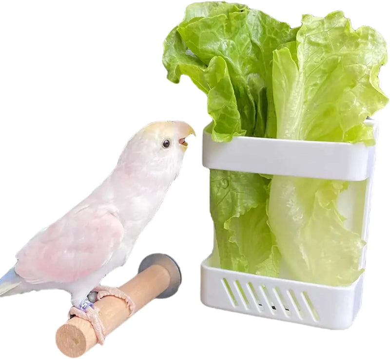Bird Parrot Feeder with Stand Perch Cage Fruit Vegetable Holder Vegetable Rack Pet Food Hanging Baskets Parrot Fruit Hanging Containers Cage Hanging Basket Container Animals & Pet Supplies > Pet Supplies > Bird Supplies > Bird Cage Accessories > Bird Cage Food & Water Dishes Barn Eleven   