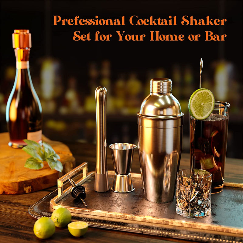 Cocktail Shaker Set, RATEL Bartender Kit 18 Piece Stainless Steel Bar Tools with Stand & Cocktail Recipes Booklet, Professional Bartender Shaker Set for Beginners Home Bar Parties